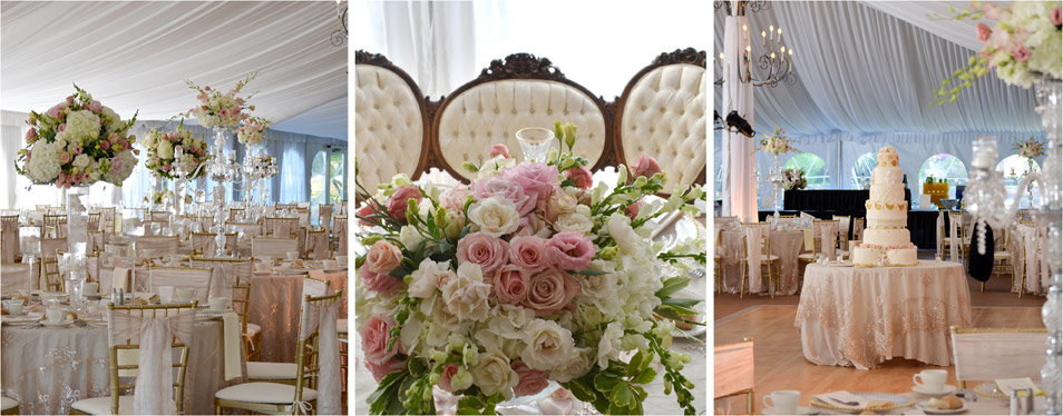 portfolio_website_julia